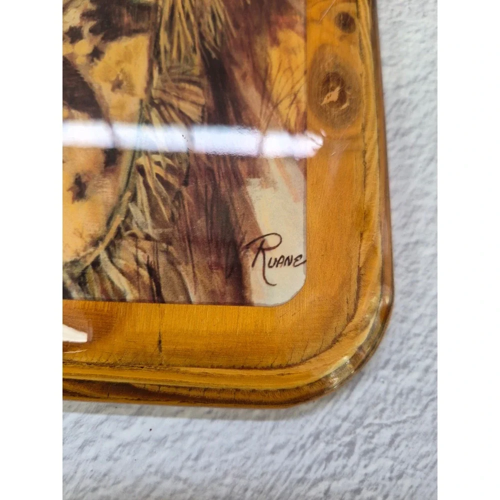 Vintage Ruane Native American Chief Wood Plaque Glossy Decoupage Wall Art 8x10.5